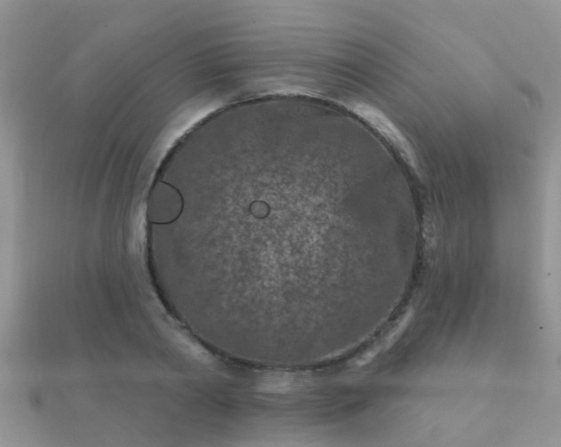 X0000112060790200908111411
