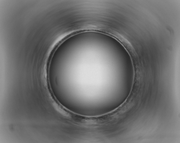 X0000112060792200908111411