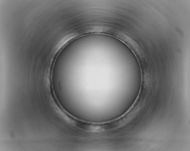 X0000112060794200908111411