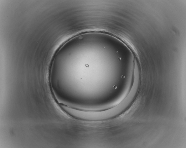X0000112060797200908111411