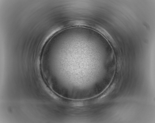 X0000112060798200908111411
