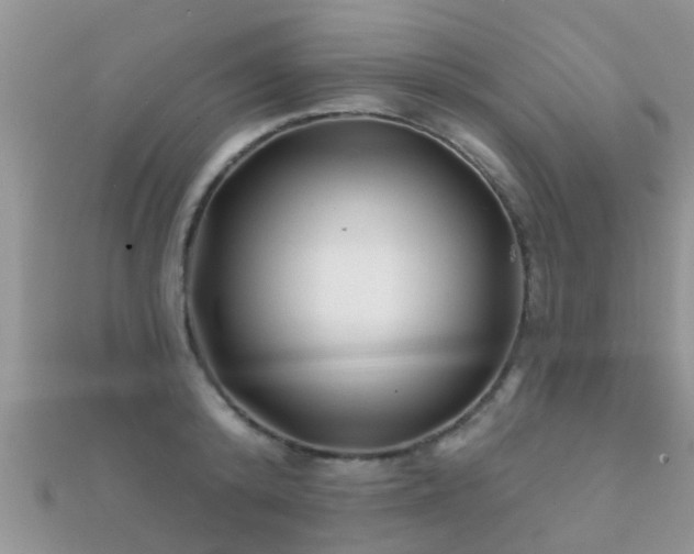 X0000112060800200908111411
