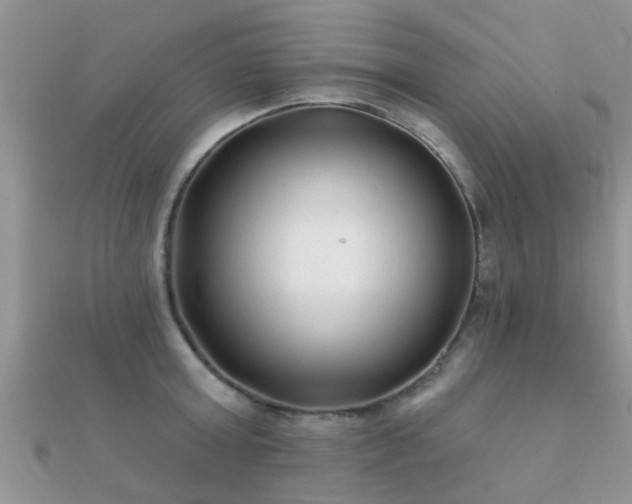 X0000112060803200908111411