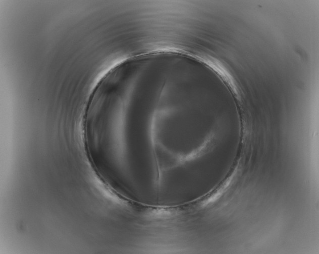 X0000112060806200908111411