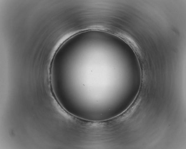 X0000112060808200908111411