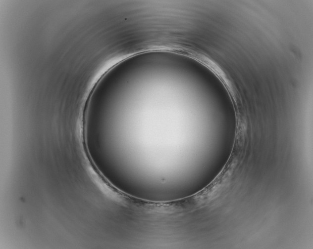 X0000112060811200908111411