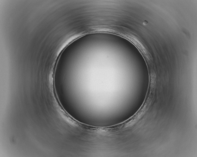 X0000112060814200908111411