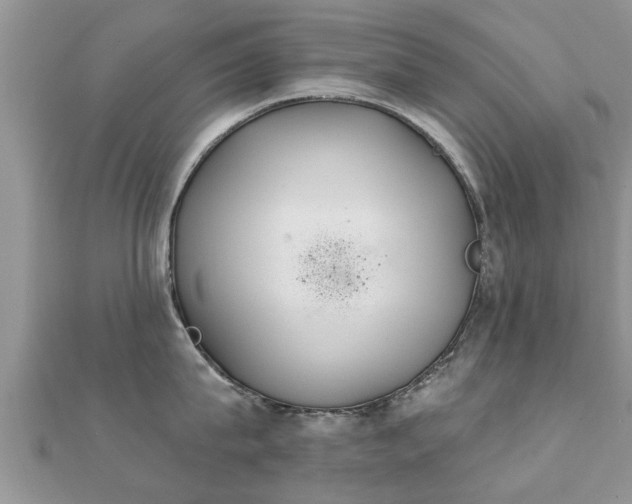 X0000112060815200908111411