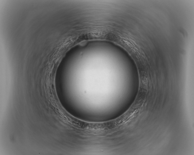 X0000112060817200908111410