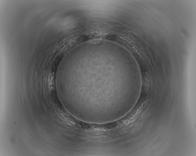 X0000112060818200908111410