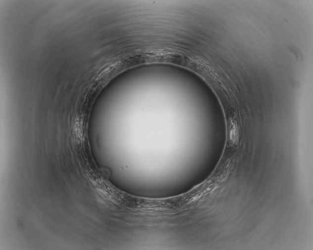 X0000112060819200908111410