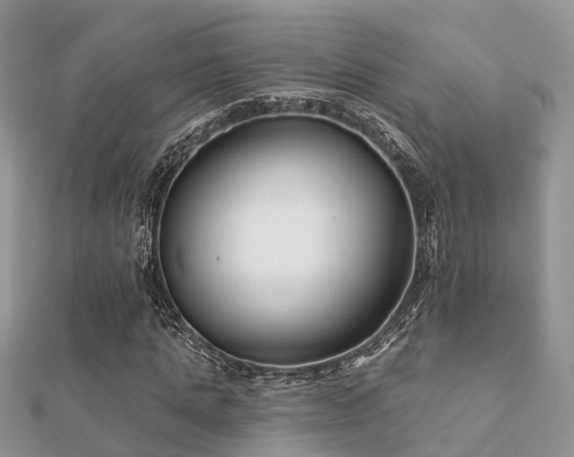 X0000112060821200908111410