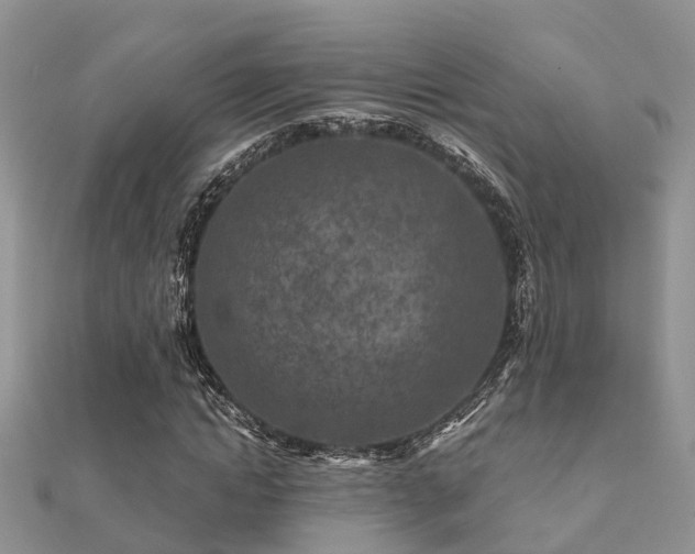 X0000112060822200908111410