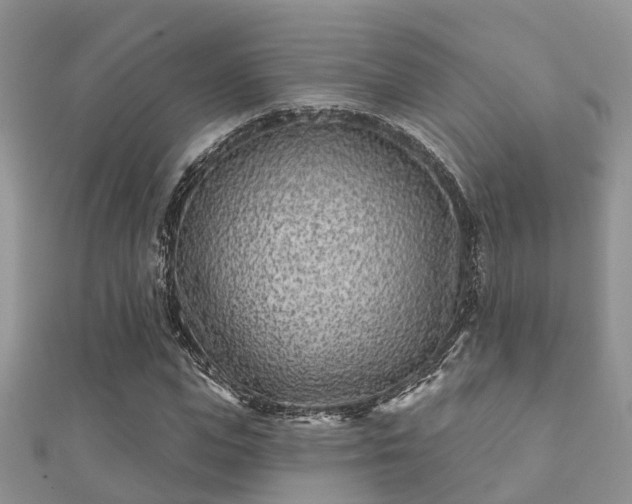 X0000112060823200908111410