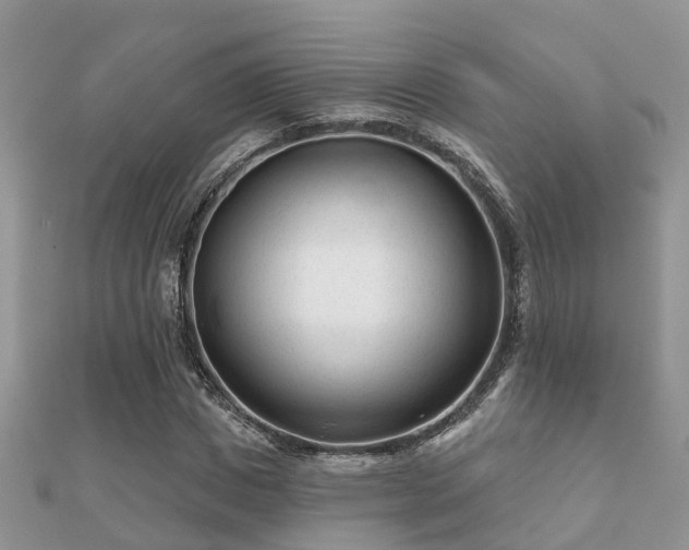 X0000112060825200908111410