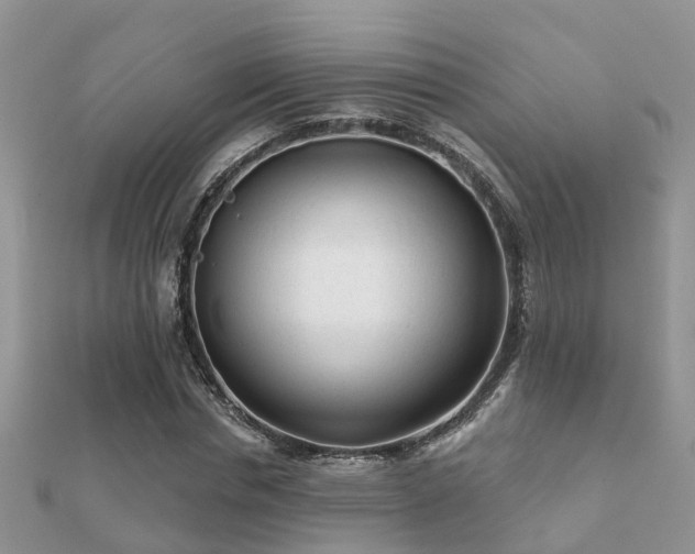 X0000112060826200908111410