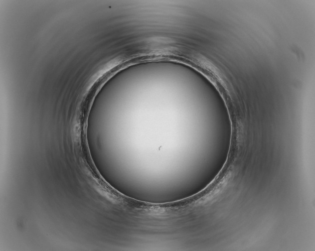 X0000112060827200908111410
