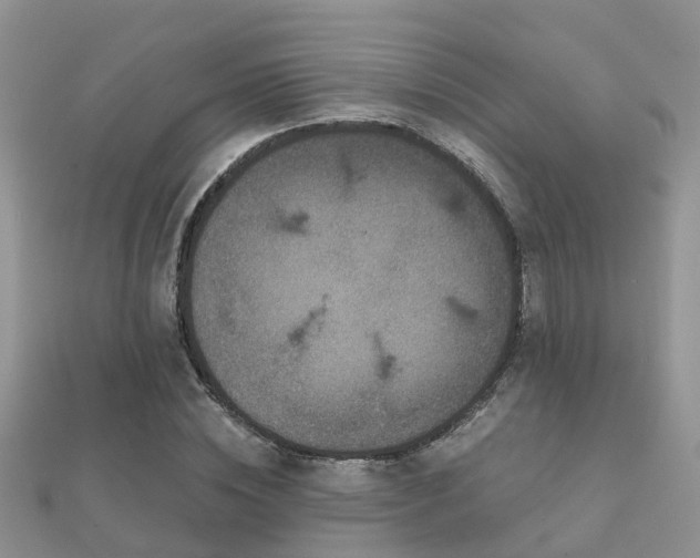 X0000112060828200908111410