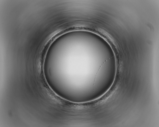 X0000112060829200908111410