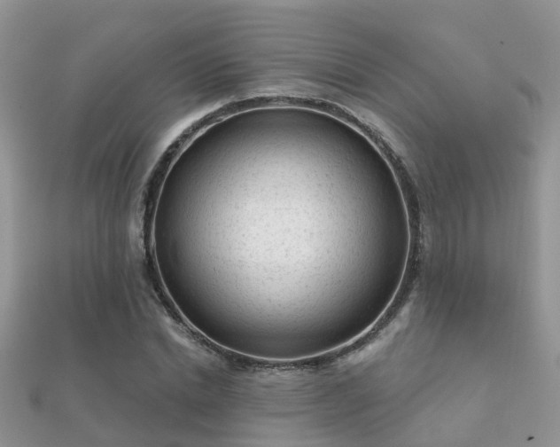 X0000112060830200908111410