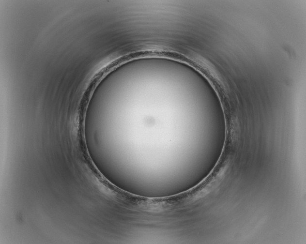 X0000112060831200908111410