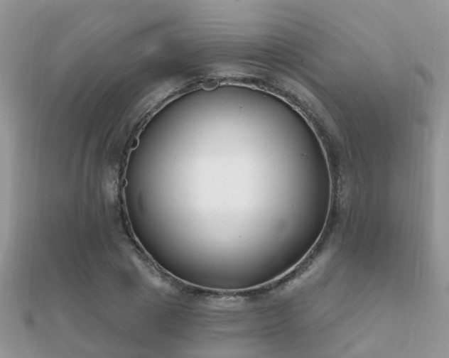 X0000112060833200908111410