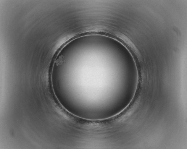 X0000112060834200908111410