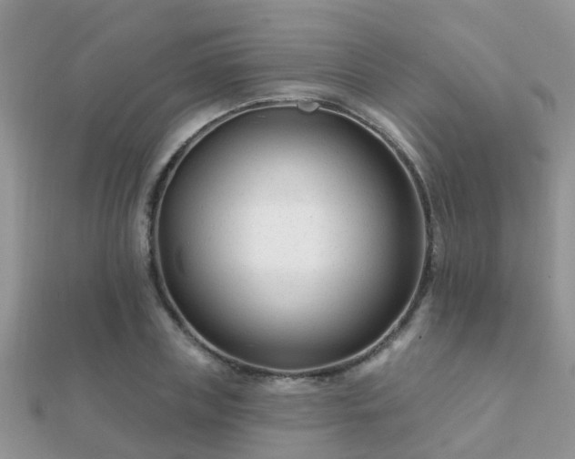 X0000112060835200908111410