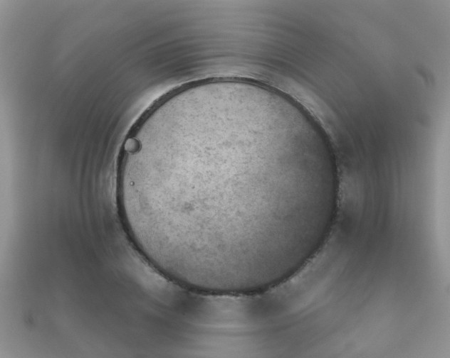 X0000112060836200908111410