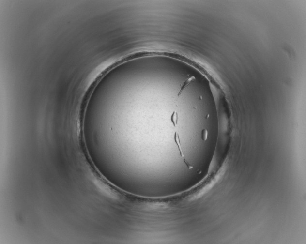 X0000112060837200908111410