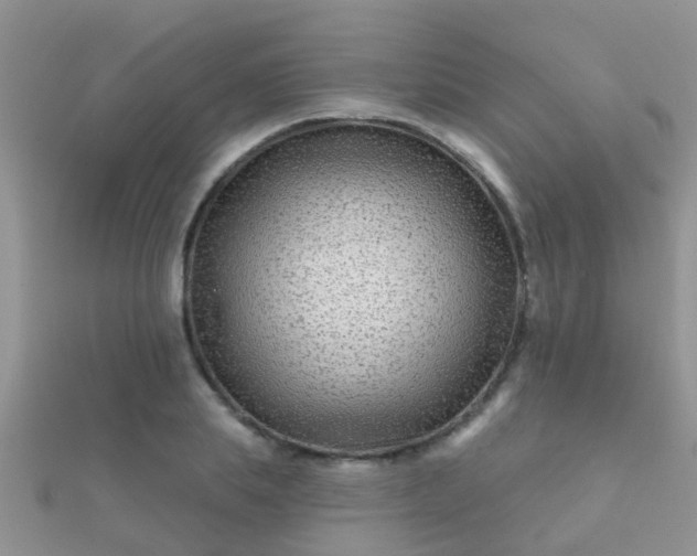 X0000112060839200908111410