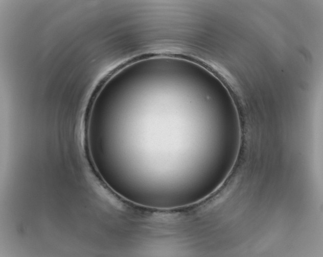 X0000112060840200908111410