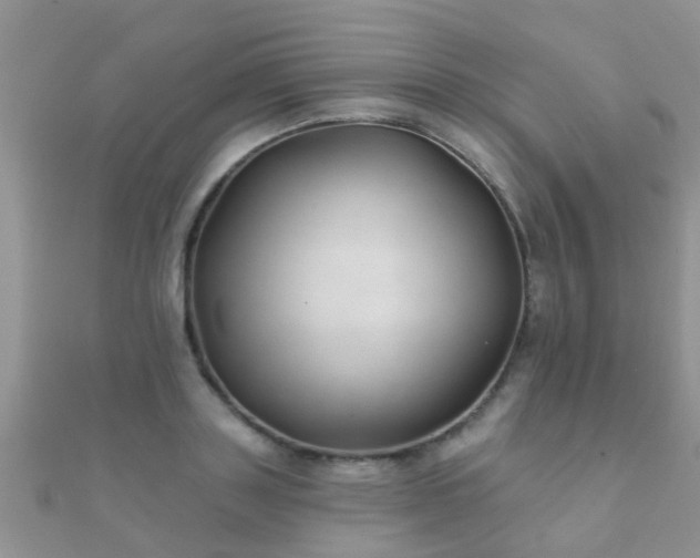 X0000112060843200908111410
