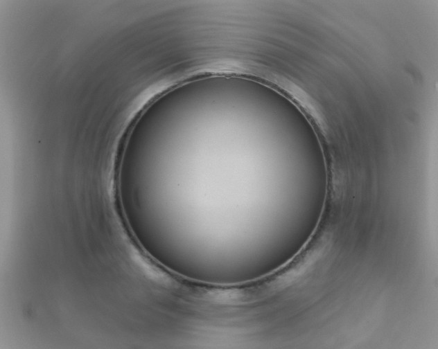 X0000112060845200908111410