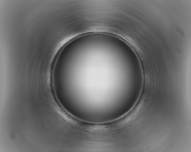 X0000112060846200908111410