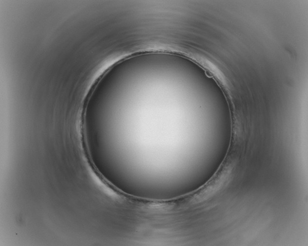 X0000112060847200908111410