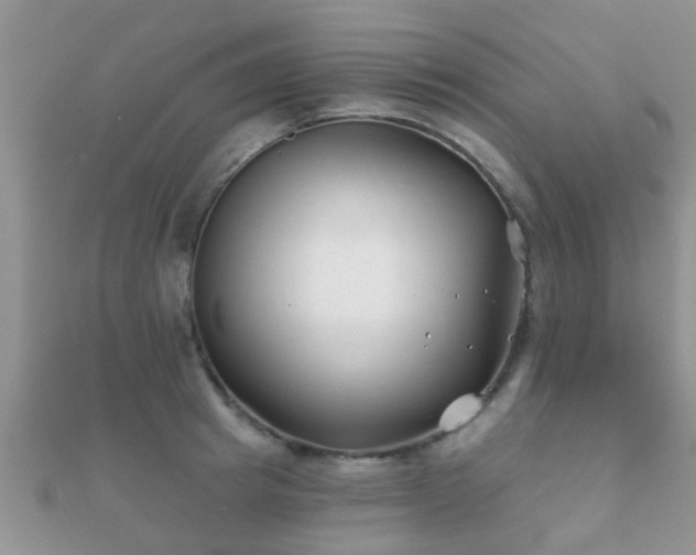 X0000112060849200908111410