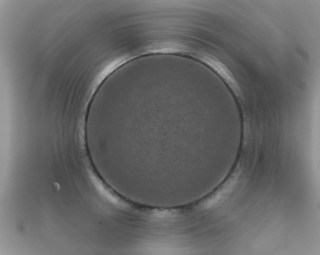 X0000112060850200908111410