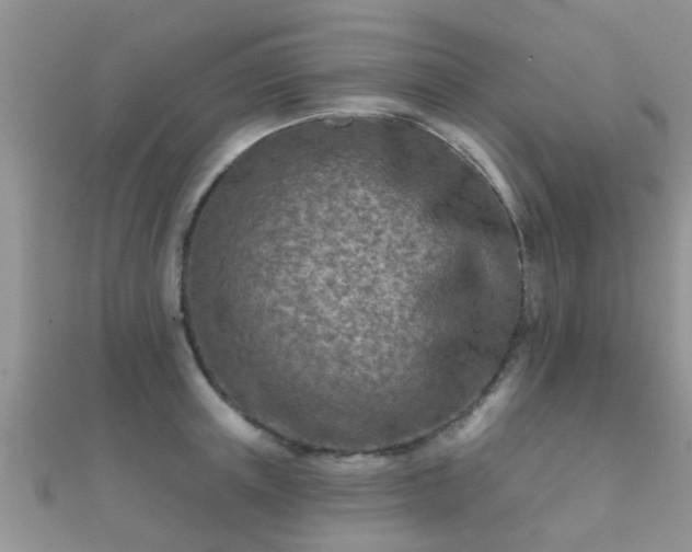 X0000112060851200908111410