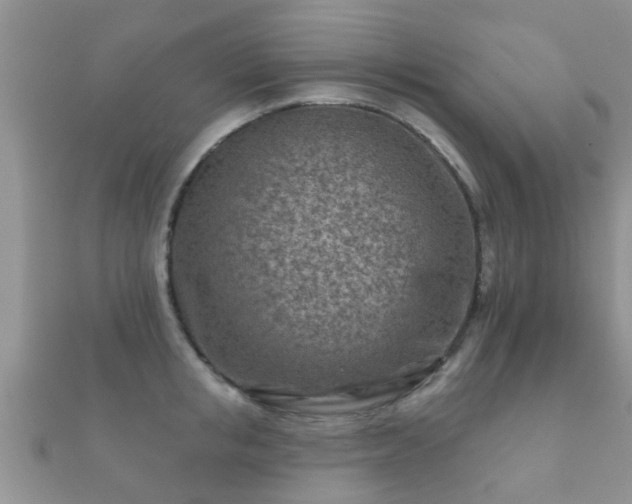 X0000112060853200908111410