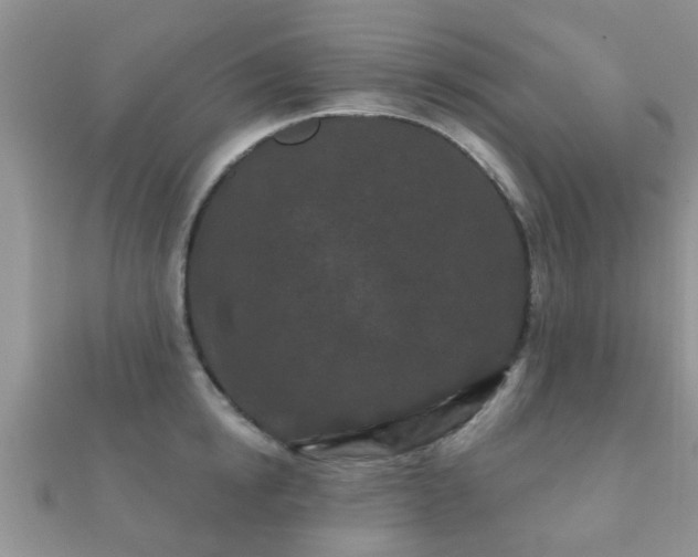 X0000112060854200908111410