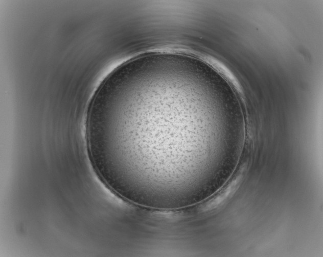 X0000112060855200908111410