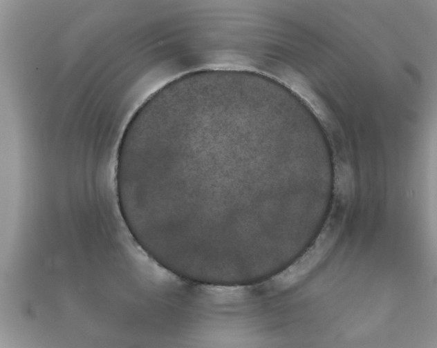 X0000112060856200908111410