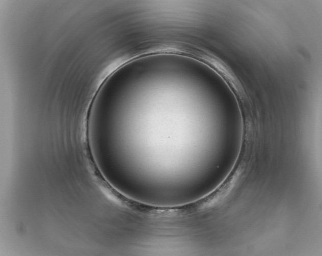 X0000112060858200908111411