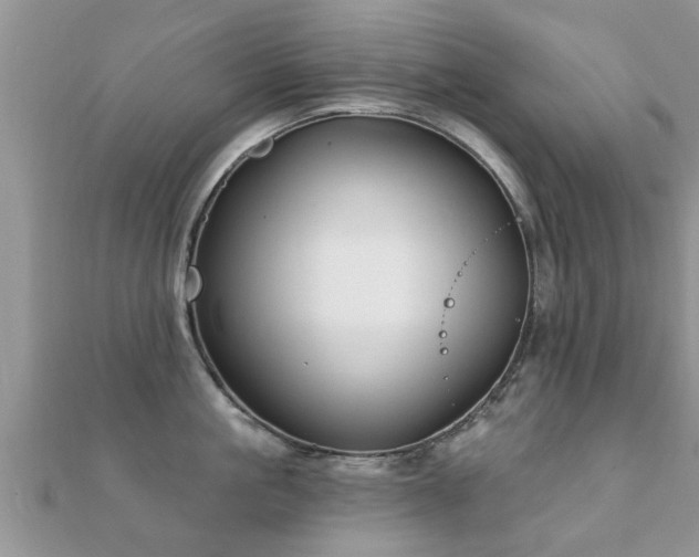 X0000112060861200908111411