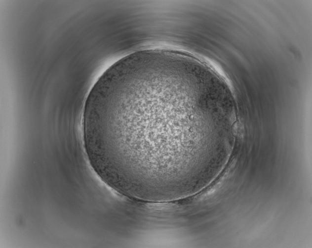 X0000112060863200908111411