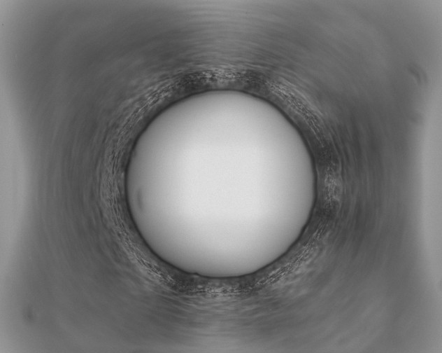 X0000112060865200908111410