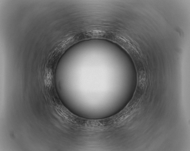 X0000112060866200908111410