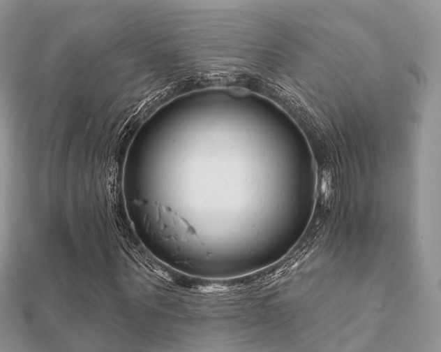 X0000112060867200908111410