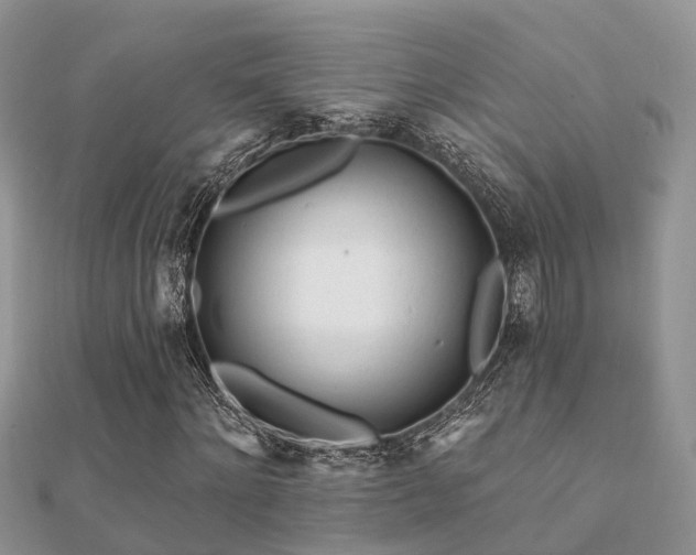 X0000112060868200908111410
